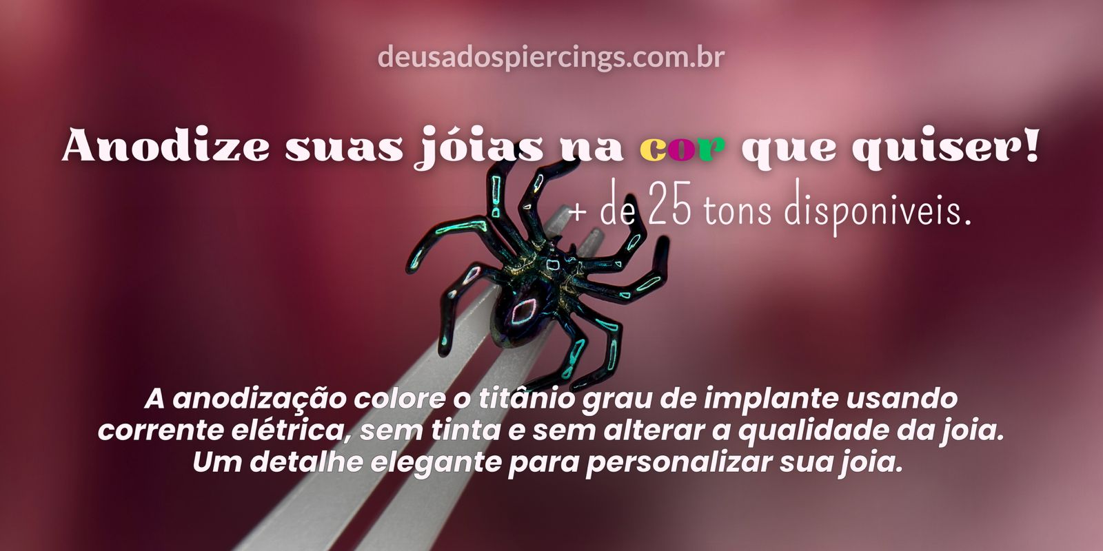 Banner Anodização